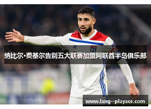 纳比尔·费基尔告别五大联赛加盟阿联酋半岛俱乐部 纳比尔·费基尔告别五大联赛加盟阿联酋半岛俱乐部