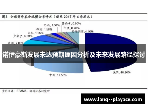 诺伊豪斯发展未达预期原因分析及未来发展路径探讨