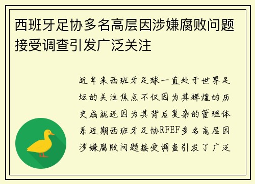 西班牙足协多名高层因涉嫌腐败问题接受调查引发广泛关注